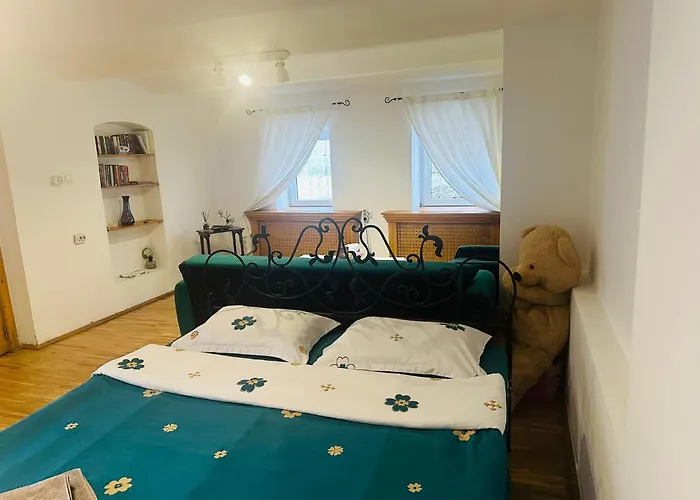 Гостевой дом Curcanilor 18